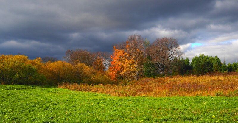 Унылая пора.... фото превью