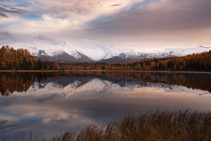 алтай, киделю *** фото превью