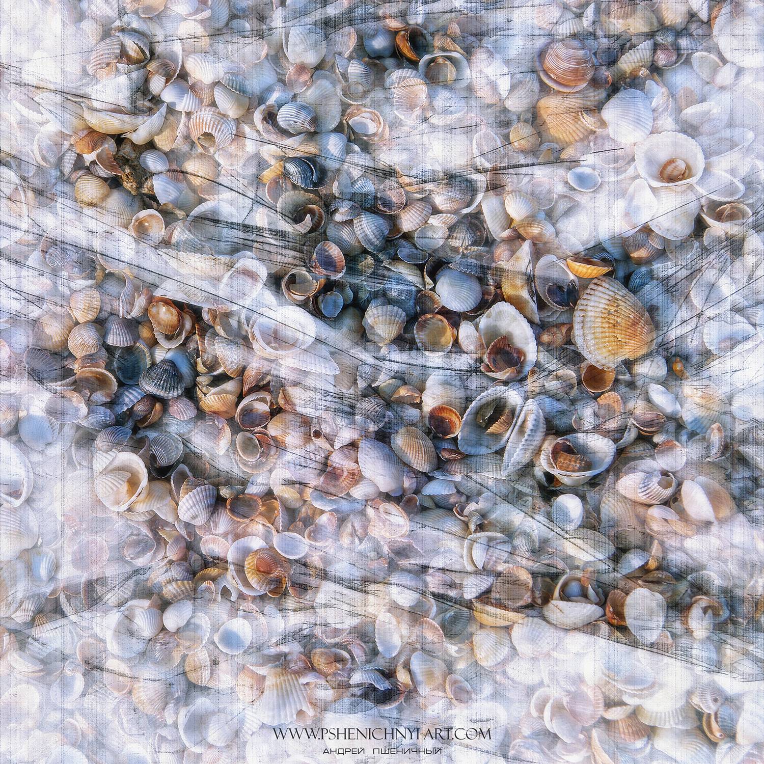 ракушки, волна, лето, море, абстракция, минимализм, Пшеничный Андрей