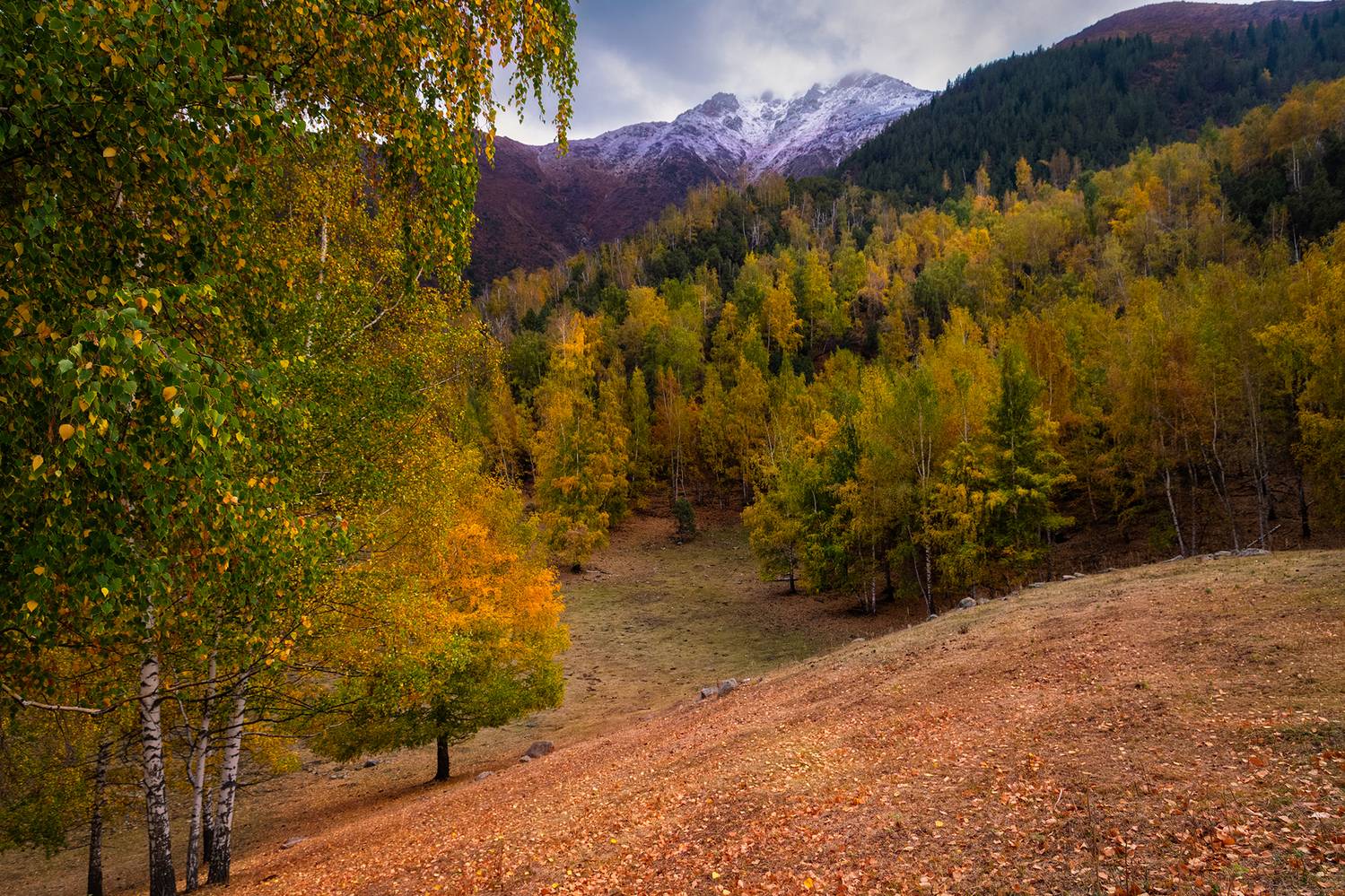 кыргызстан, ала-арча, Элина Магалимова