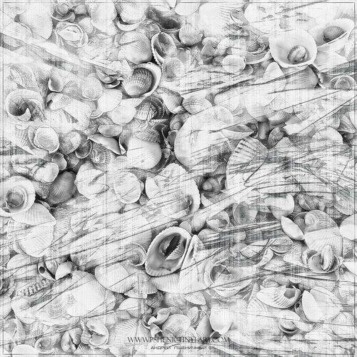 Морская гравюра