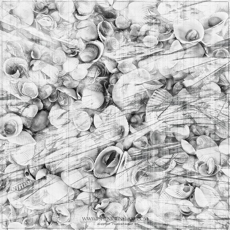 ракушки, волна, лето, море, абстракция, минимализм Морская гравюра фото превью