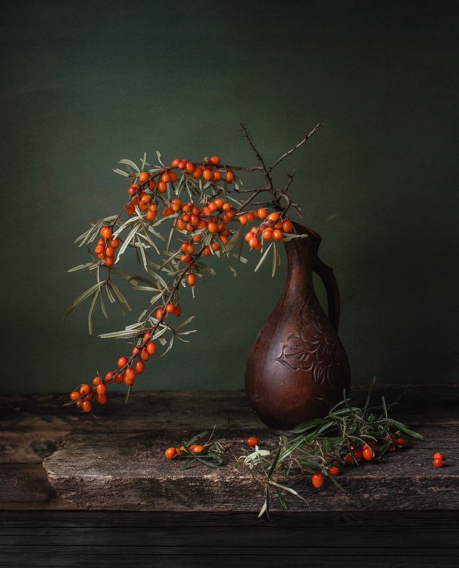 Облепила облепиха. фото превью