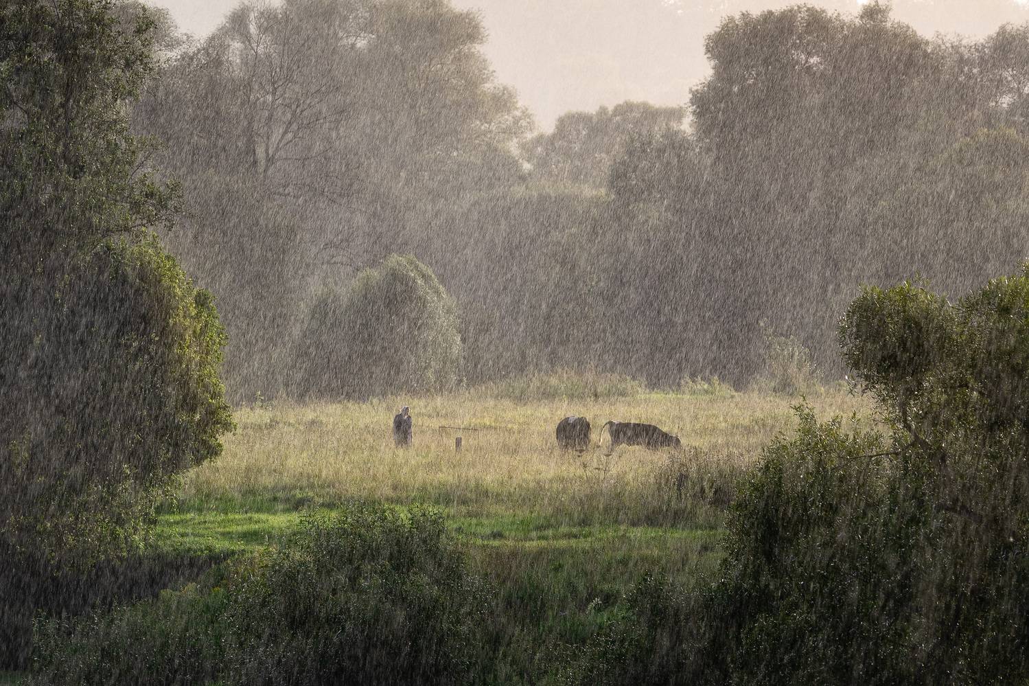 , Загруев Михаил