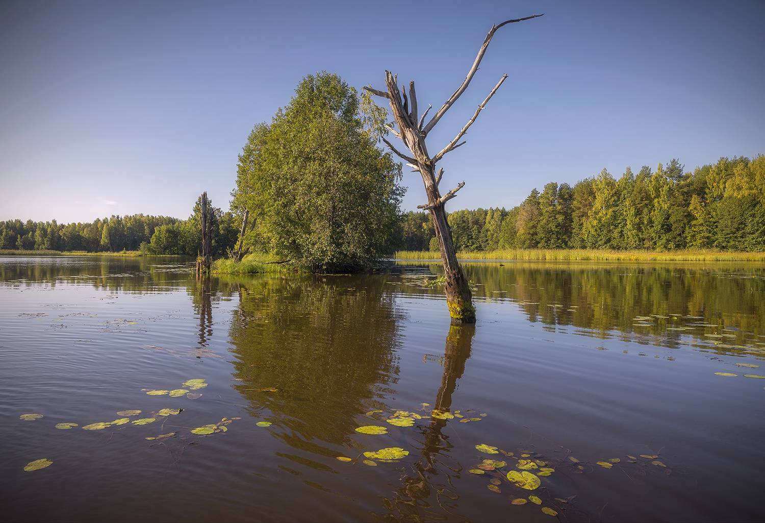 , Сергей Аникин