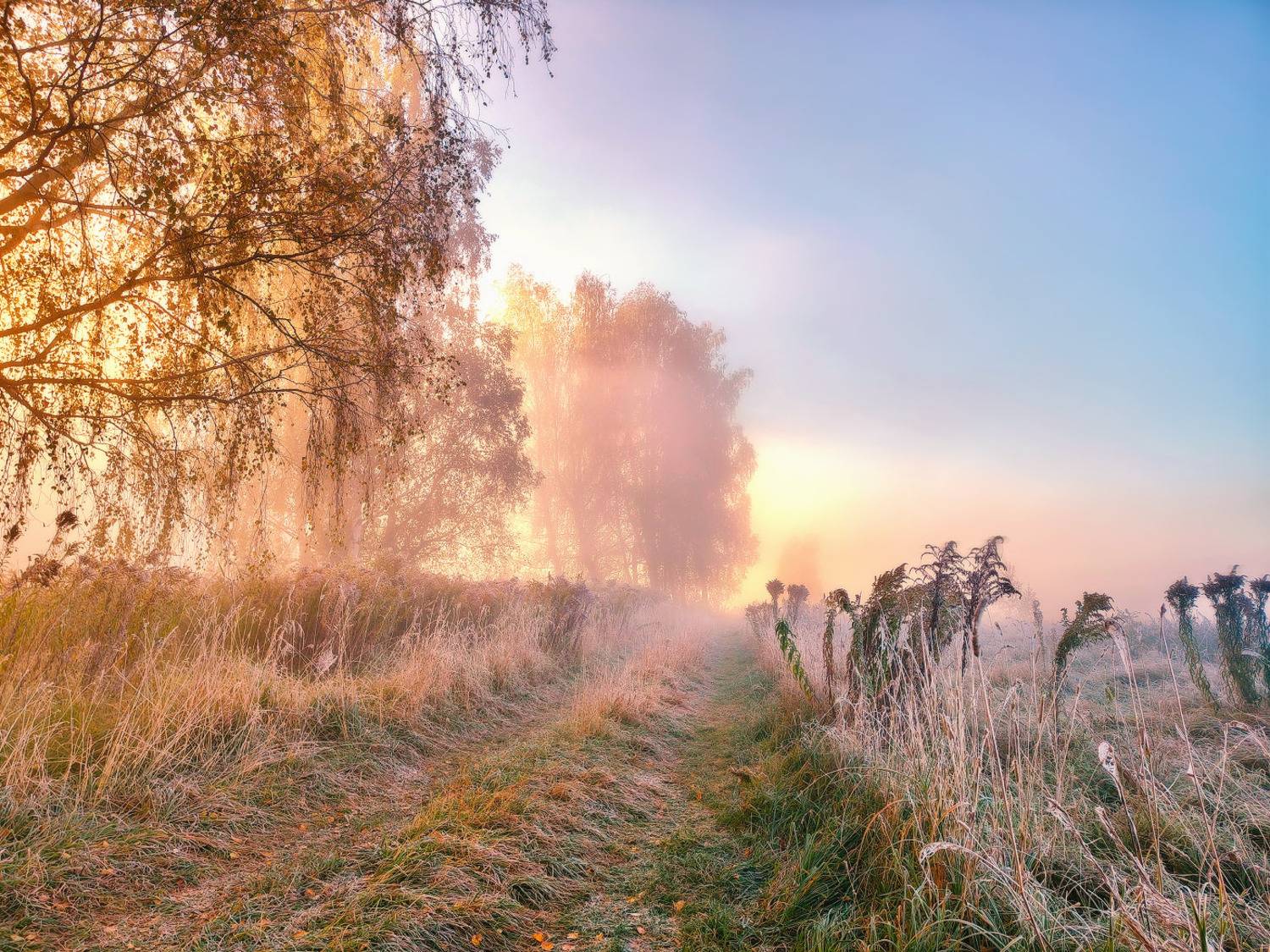 беларусь, дорога, заморозки, иней, минск и окрестности, осень, рассвет, река, свислочь, сентябрь, туман, утро, Вейзе Максим
