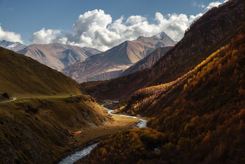 кавказ, грузия, georgia, горы, осень в горах, горы осеню, ущелье, горная река Ущелье Трусо осенью фото превью