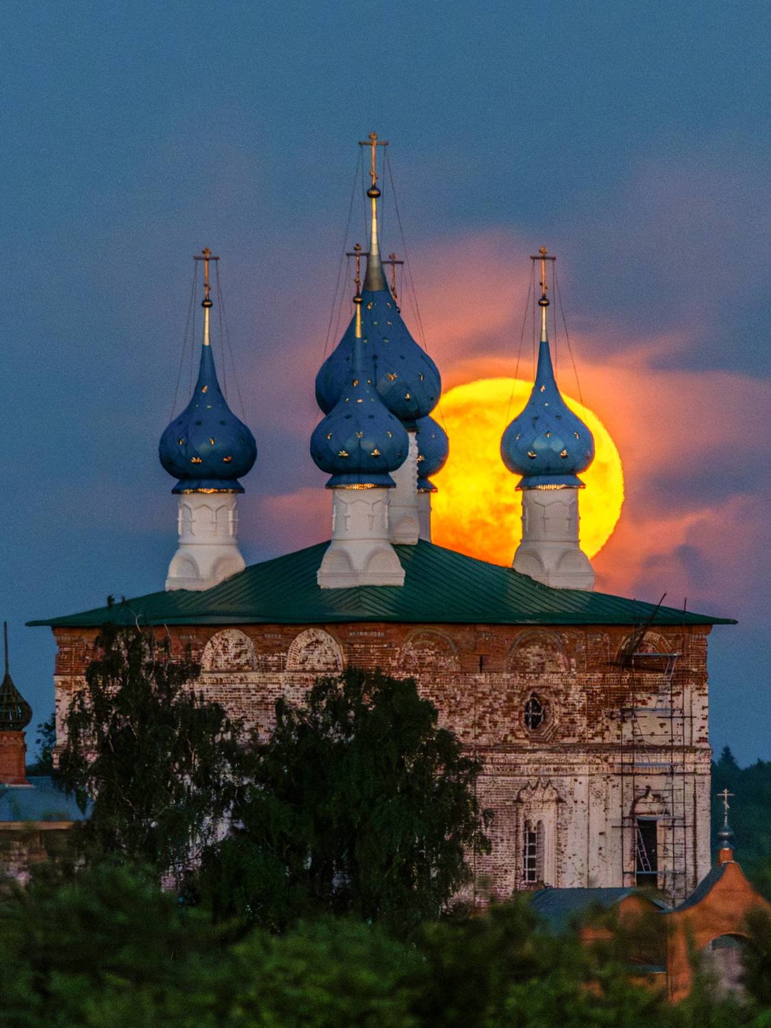 , Елена Ефимова