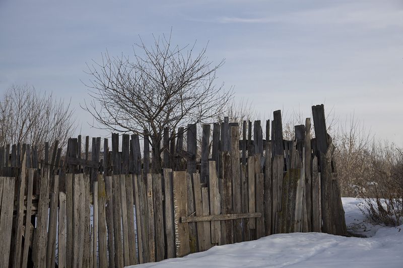 весна март Зимний сад фото превью