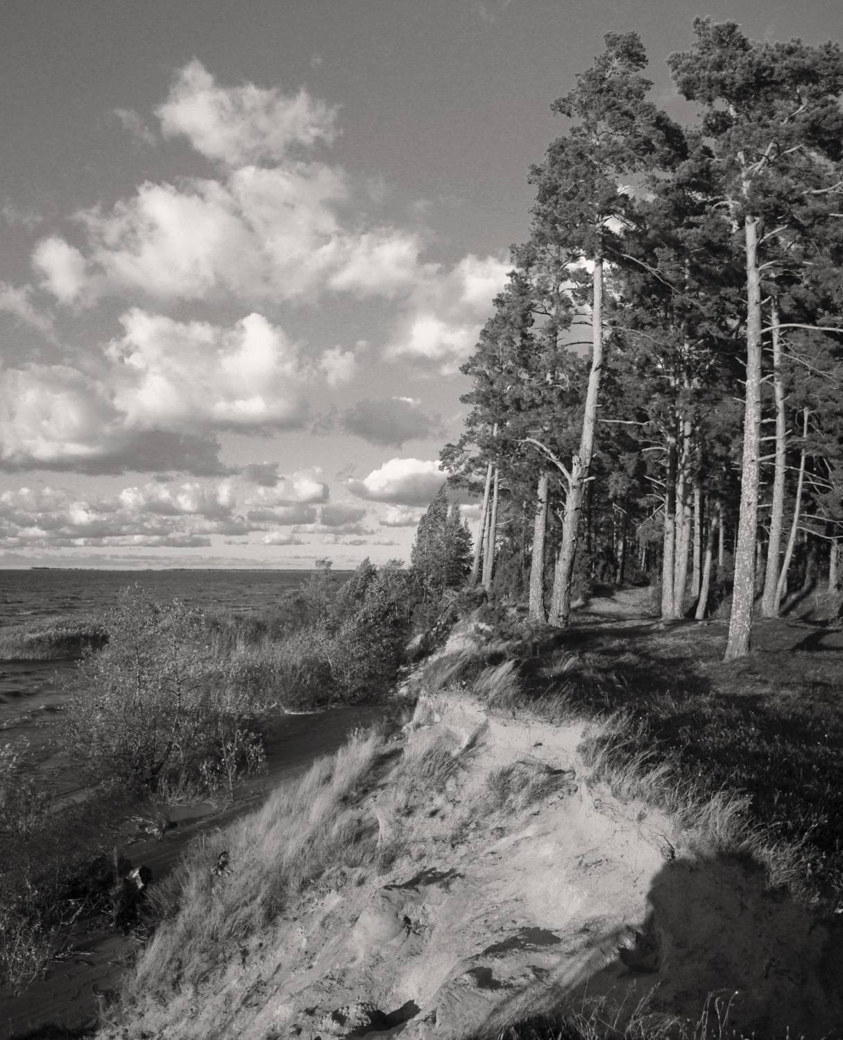 , Сергей Григорьев