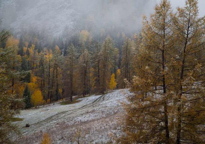осень на перевале фото превью