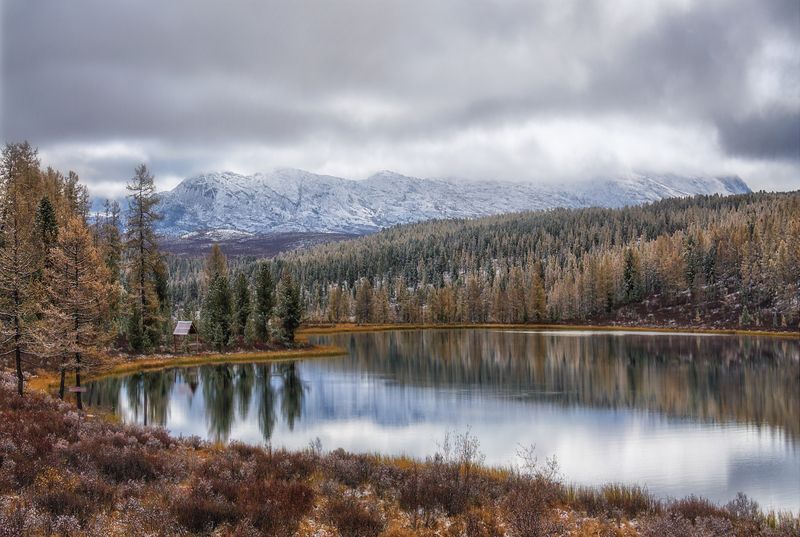 Первый снег фото превью