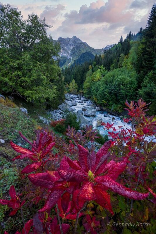 Autumn in Svaneti. Georgia 2025 фото превью