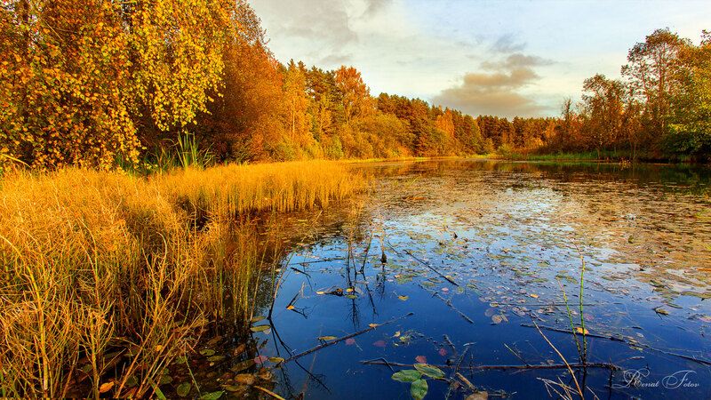 Костромской край: на воде фото превью