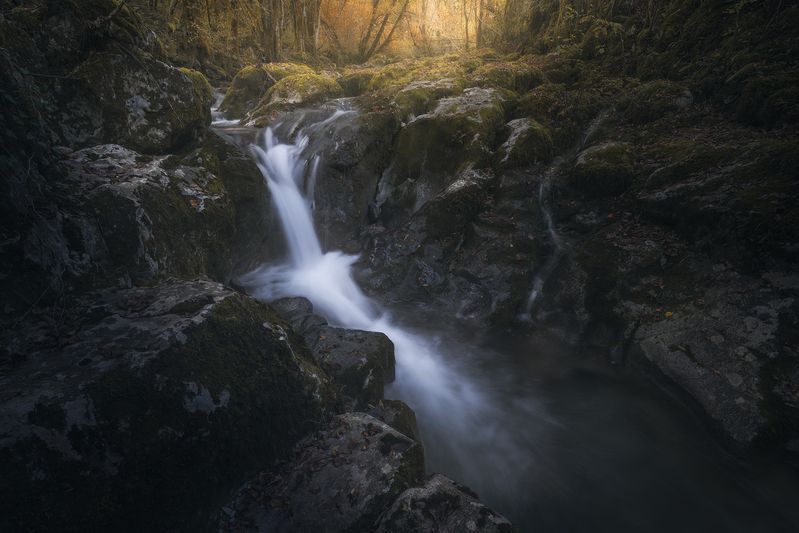 Shadowfall фото превью