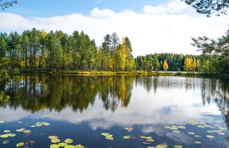 Большое Шелексозеро фото превью