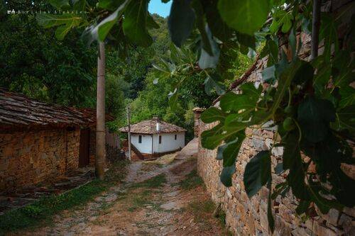 Old Stefanovo - Старо Стефаново