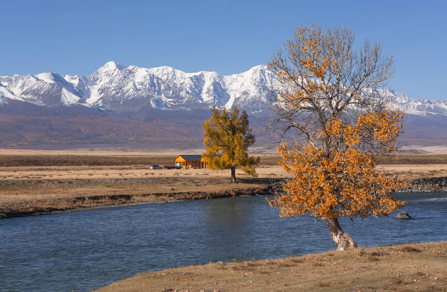 россия, горный алтай, осень, тополь, Андрей Поляков