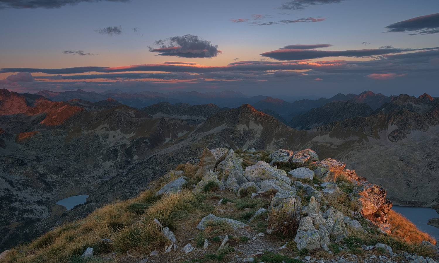 , Wojciech Tarnowski