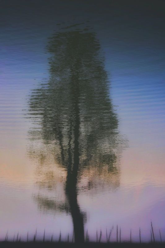 abstract Reflect фото превью