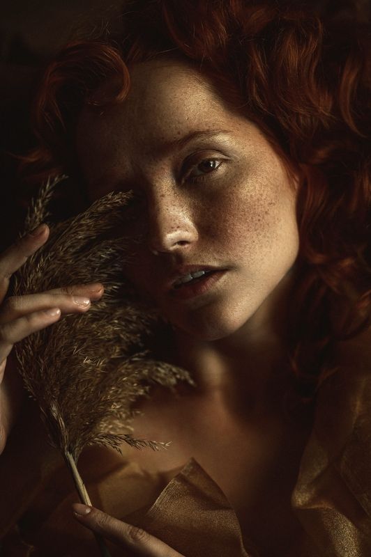 Golden hour фото превью