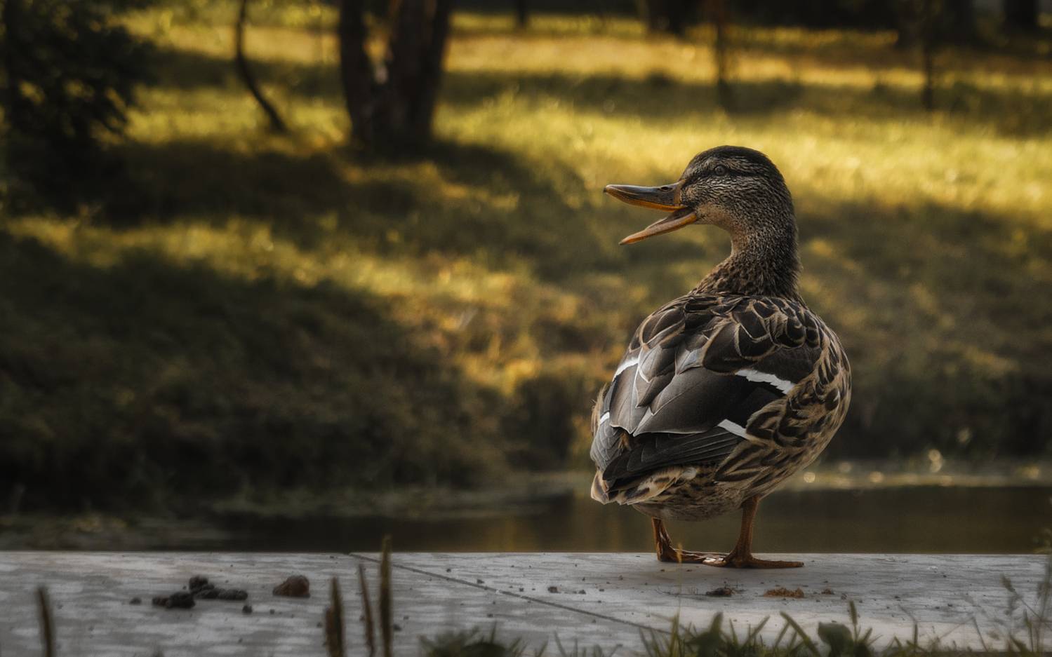 , Олег Дунаев
