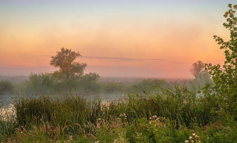 лето озеро рассвет туман природа пейзаж Утро на озере. фото превью