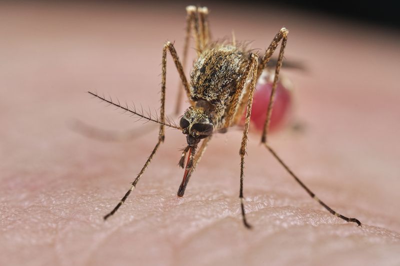 Feeding time... фото превью