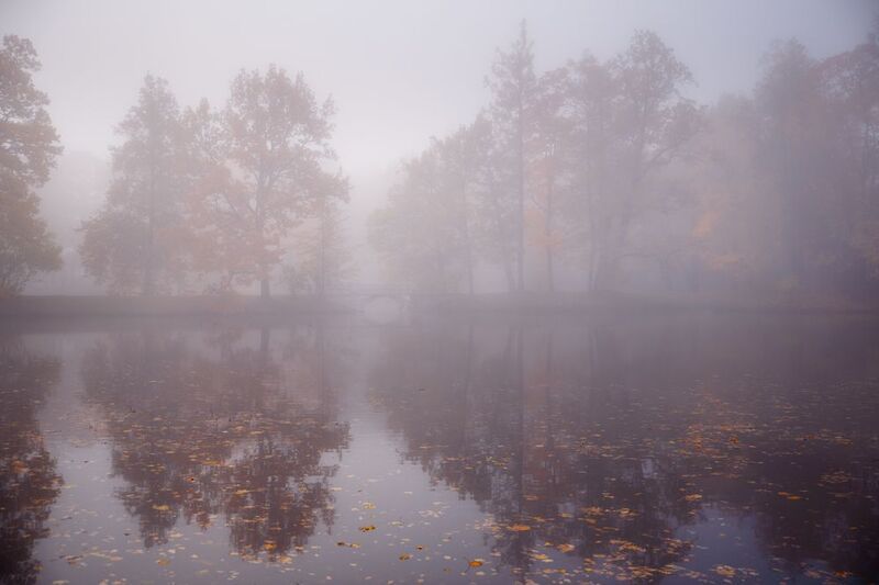 осень в Царском селе... фото превью