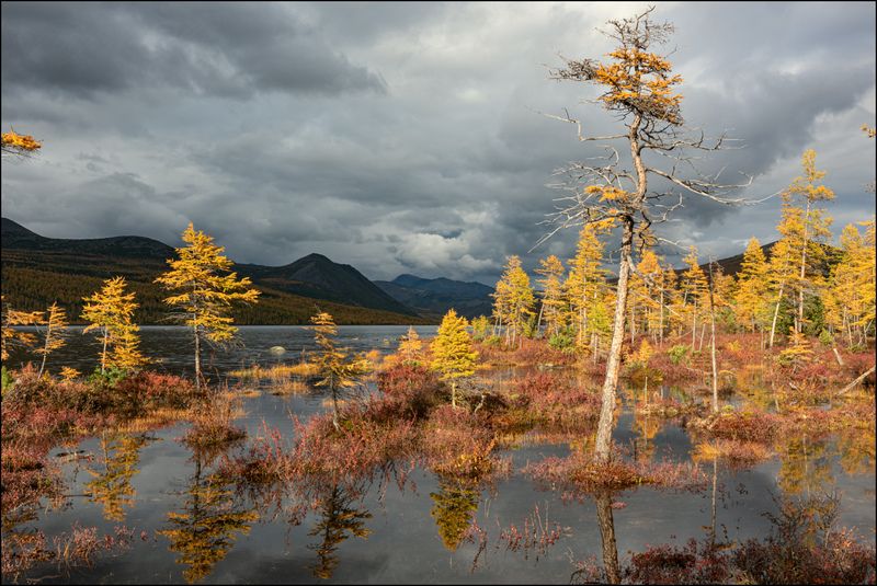 Осень на Джеке фото превью