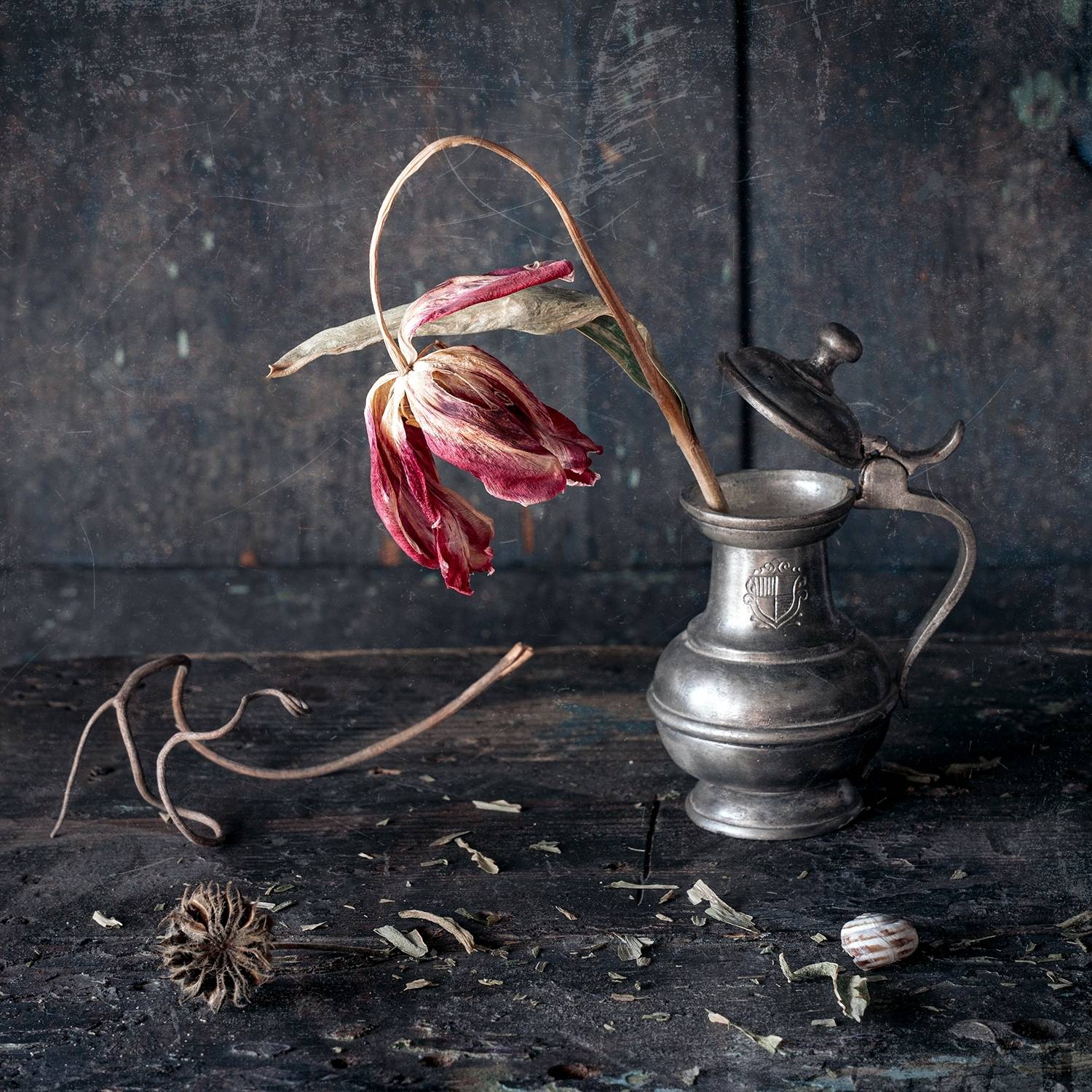 натюрморт, цветок, тюльпан, Анна Иванова