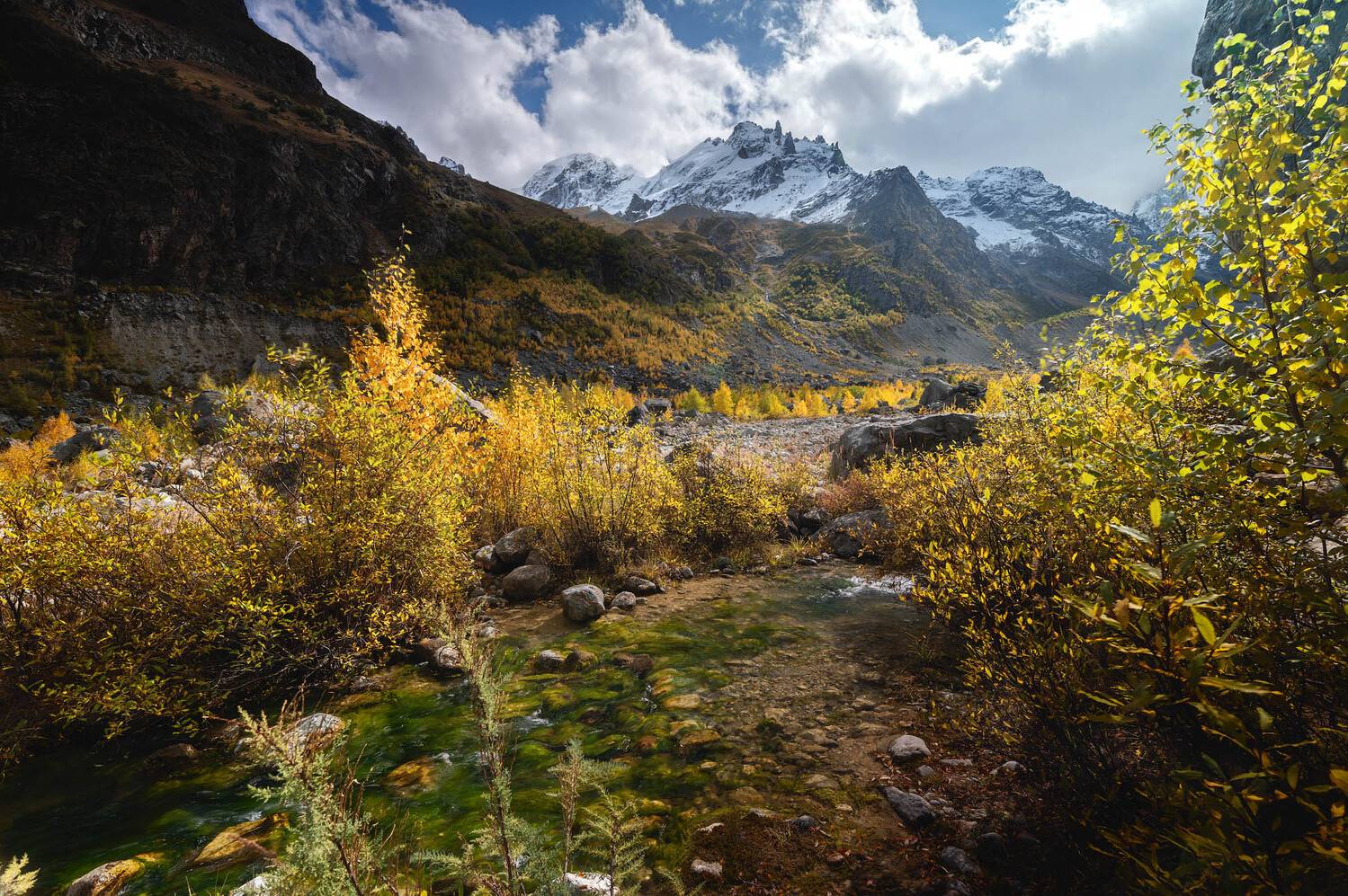 , Шевченко Юрий