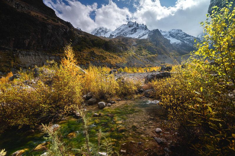 Родник фото превью