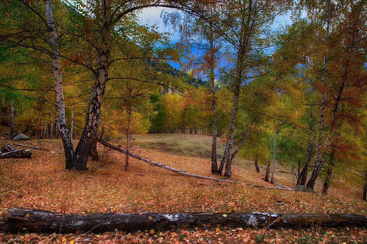 кыргызстан, ала-арча, Элина Магалимова