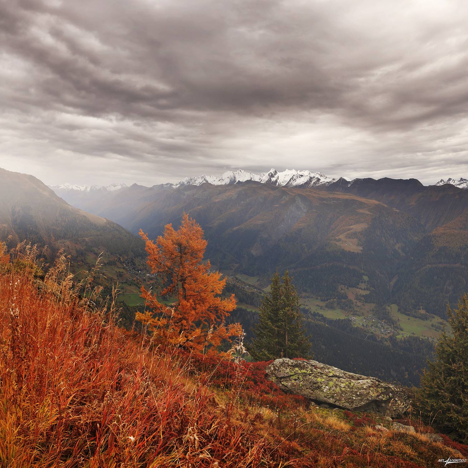 swiss, Матвеев Николай