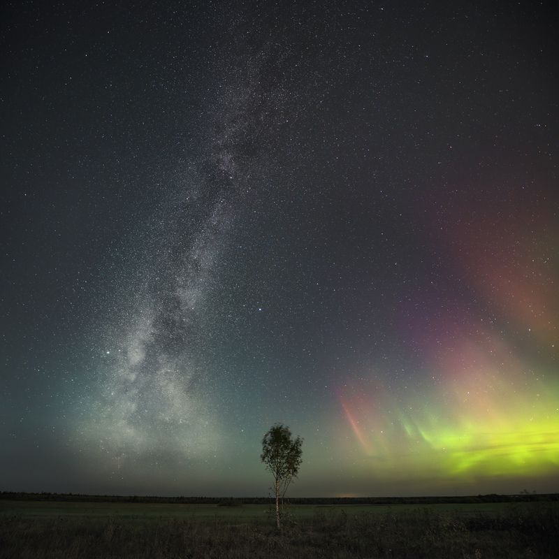 Меж двух огней фото превью