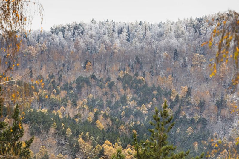 Дыхание грядущей зимы фото превью