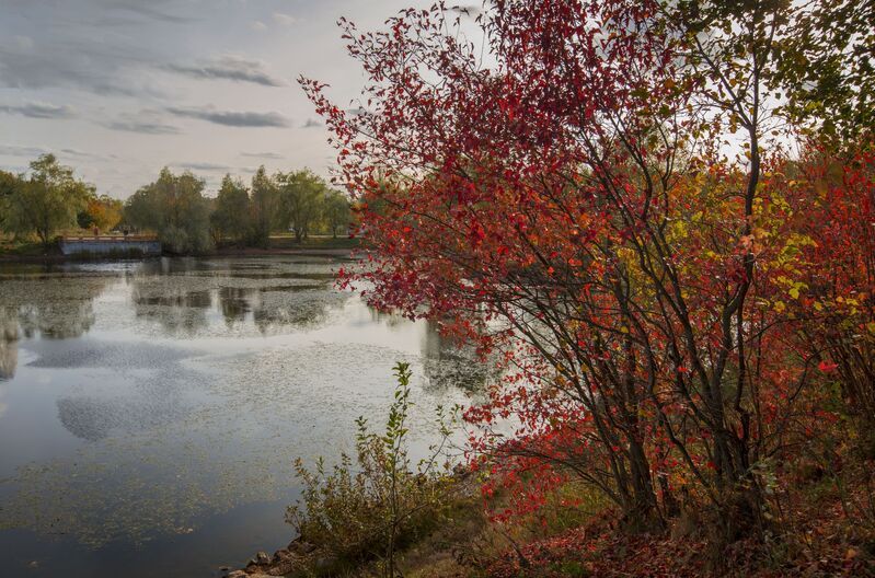 *** фото превью