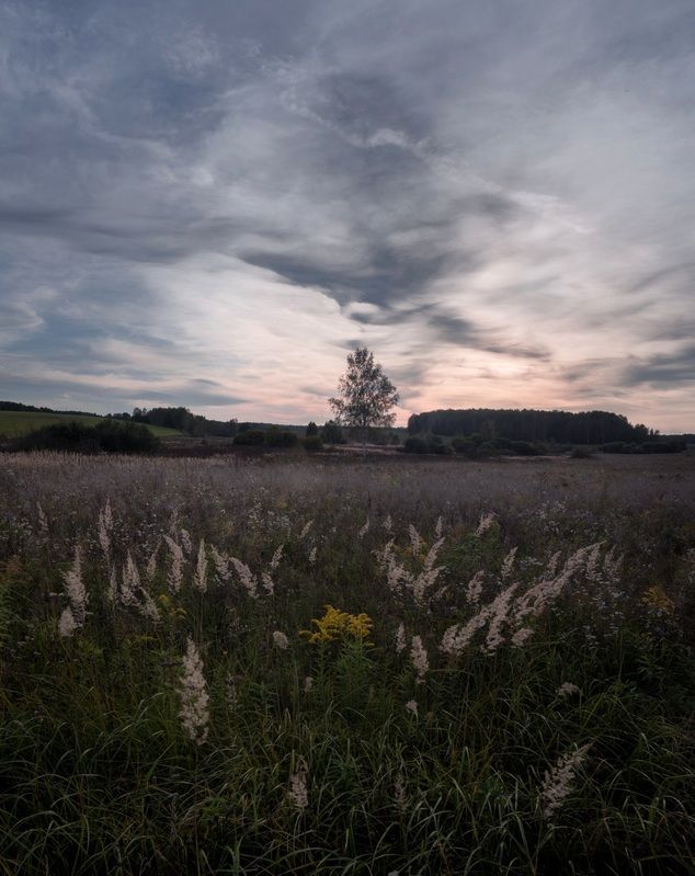 *** фото превью