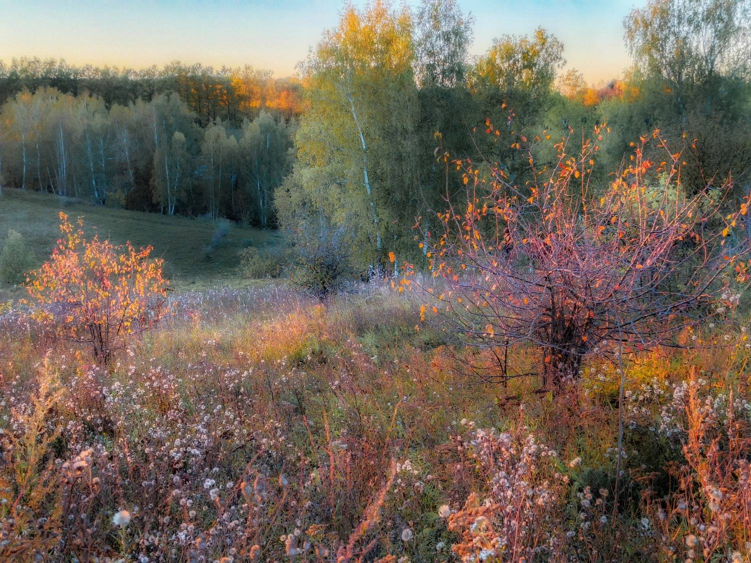 , Кондрашова Светлана