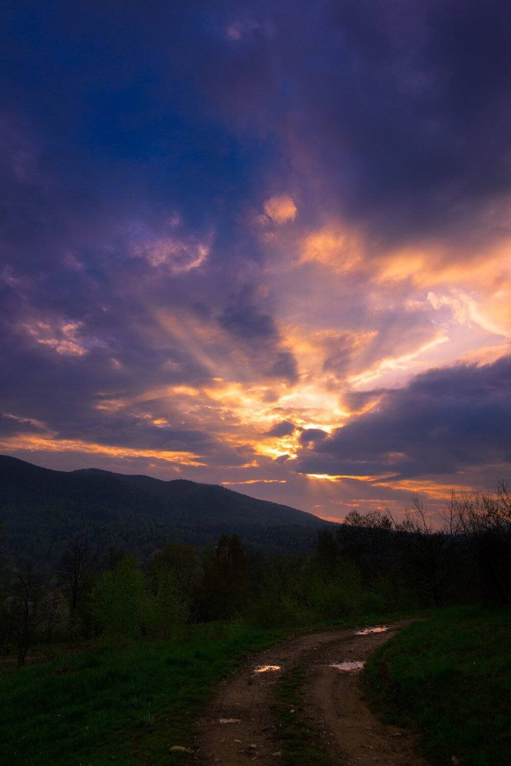 , Лозовский Чеслав