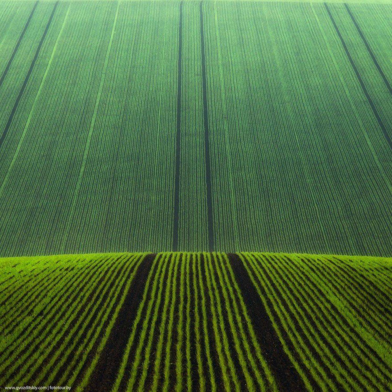 поле, моравия, холмы, рельеф, Гвоздицкий Алексей