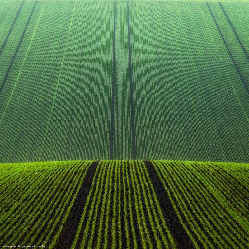 поле, моравия, холмы, рельеф Геометрия фото превью