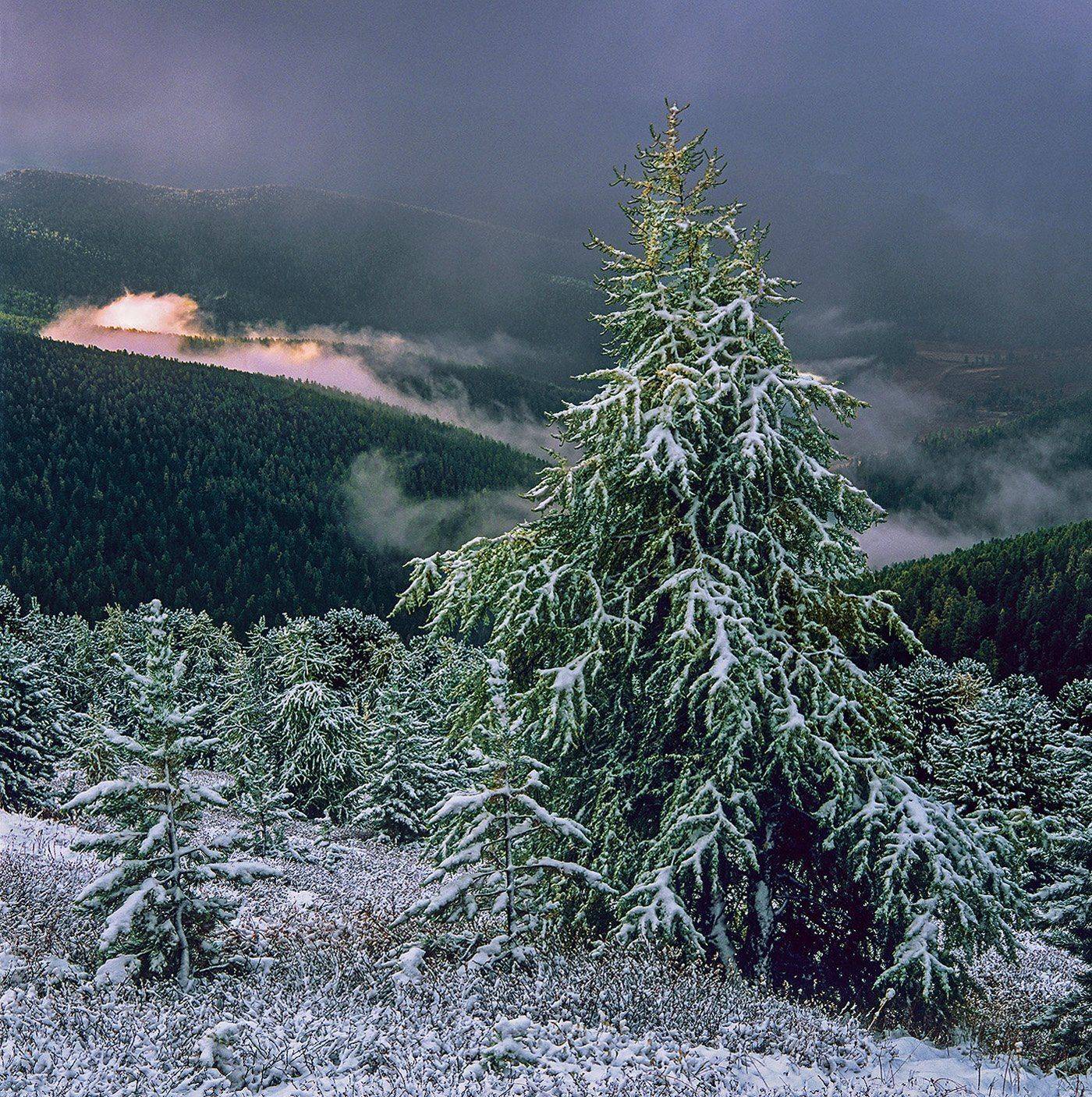 Altai, Siberia, Алтай, Ачик, Осень, Сибирь, Снегопад, Павел Филатов