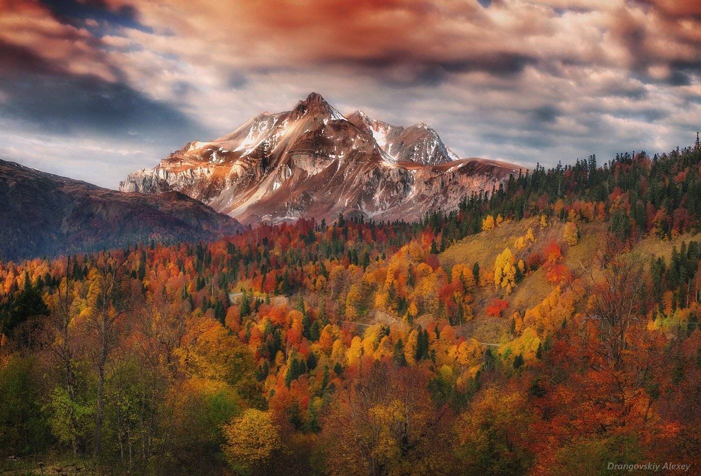 , Алексей Дранговский