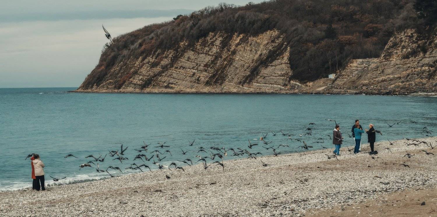 , Анатолий Щербак