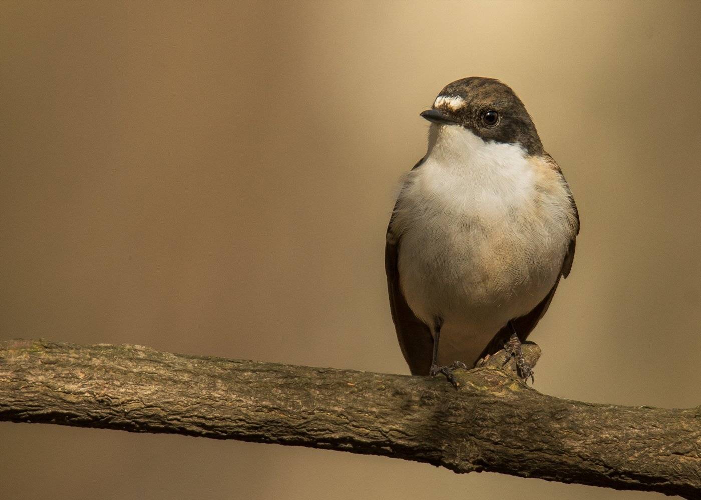 , Валерий Субачев