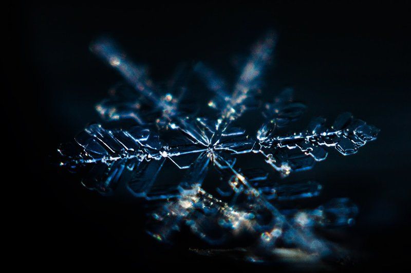 макро, снег, снежинка, зима, мороз, macro, snow, snowflake  фото превью