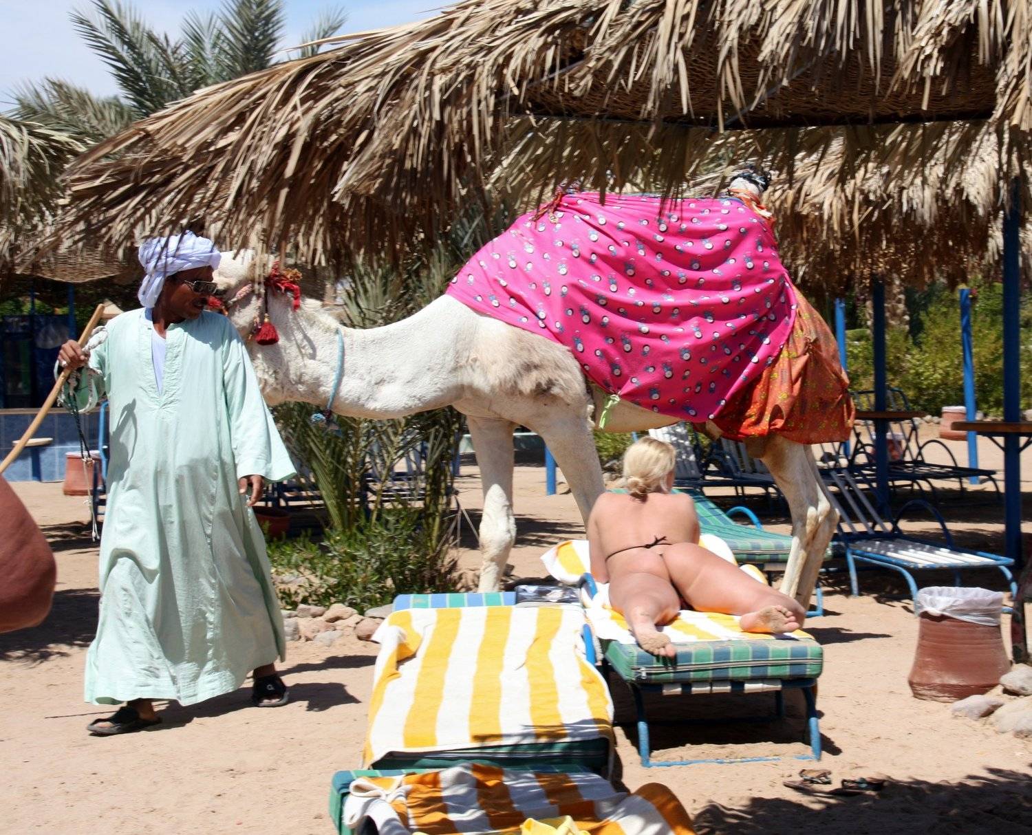 , Коробейников Дмитрий