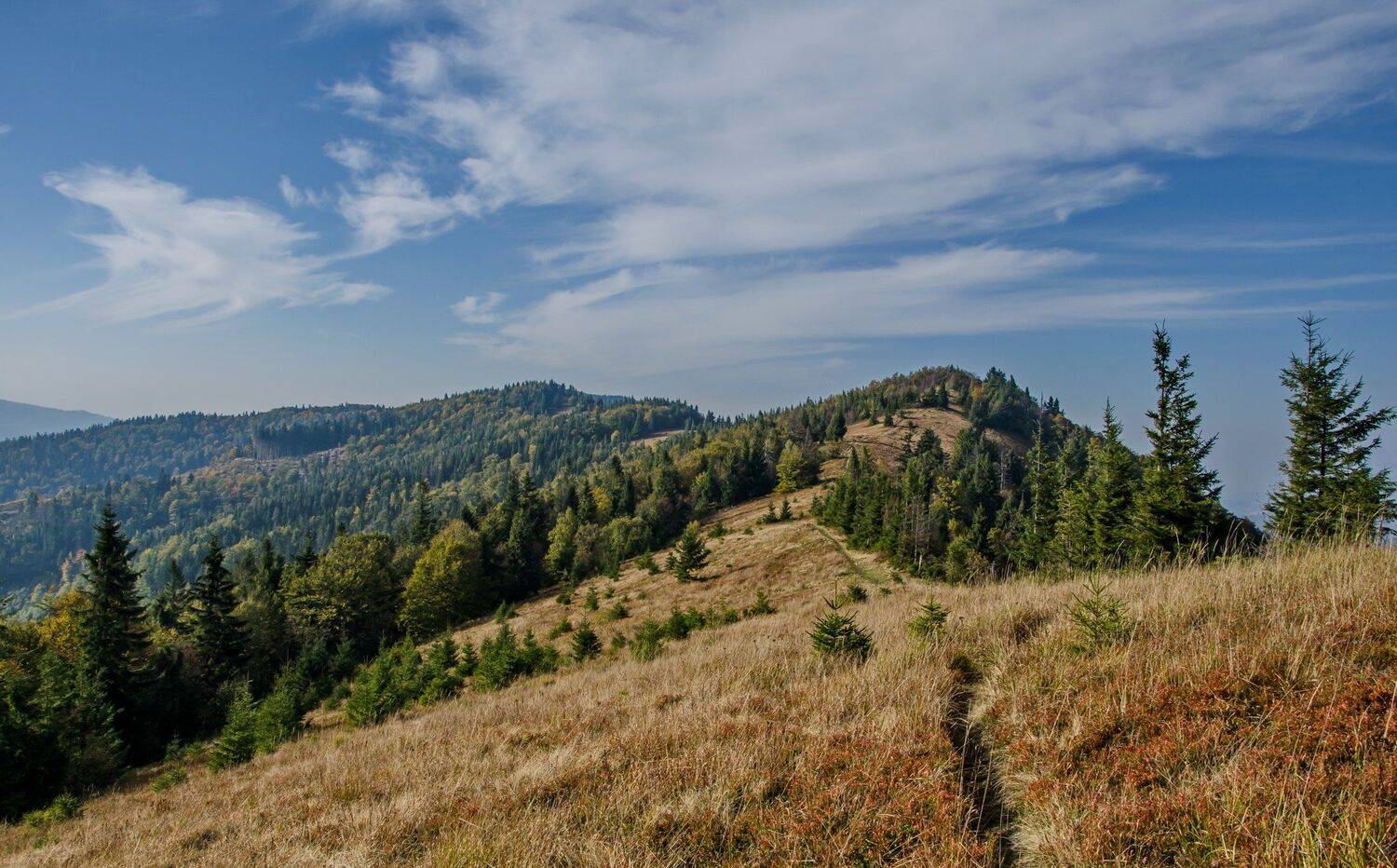 , Валерий Наумов
